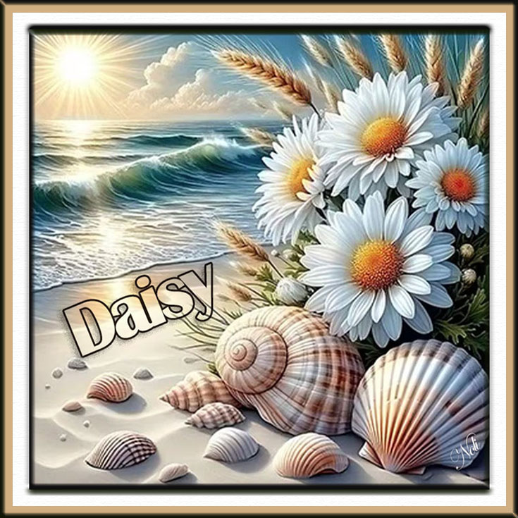 Daisy2