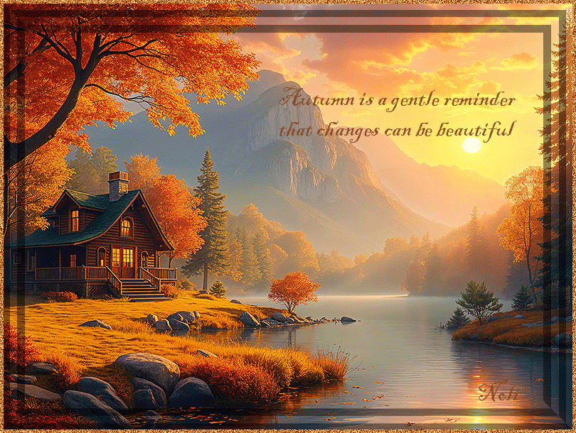 IMAGE56 Fall / Autumn