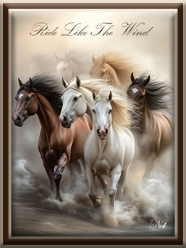 Image103 Horses