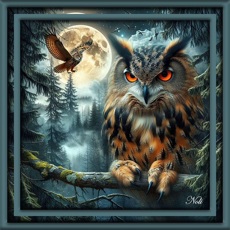 Image17 Template Page 1