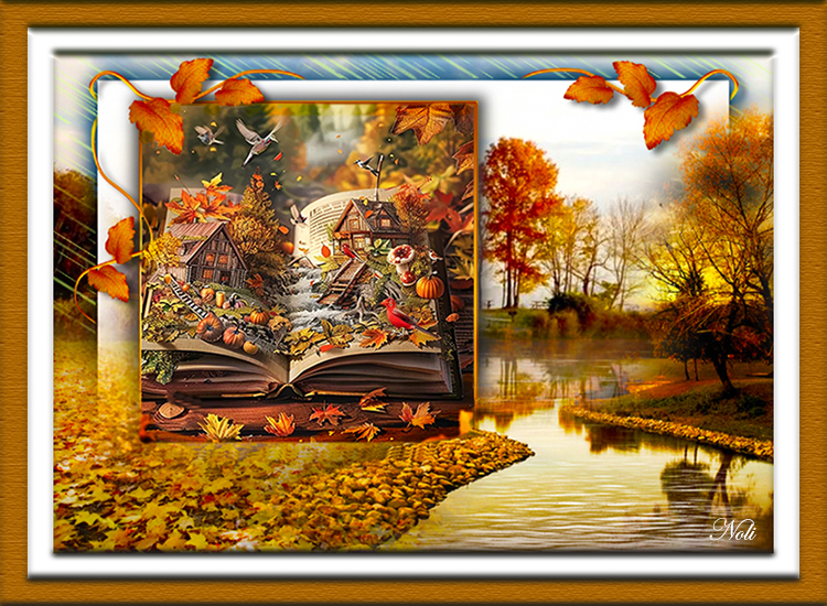 Image61 Fall / Autumn